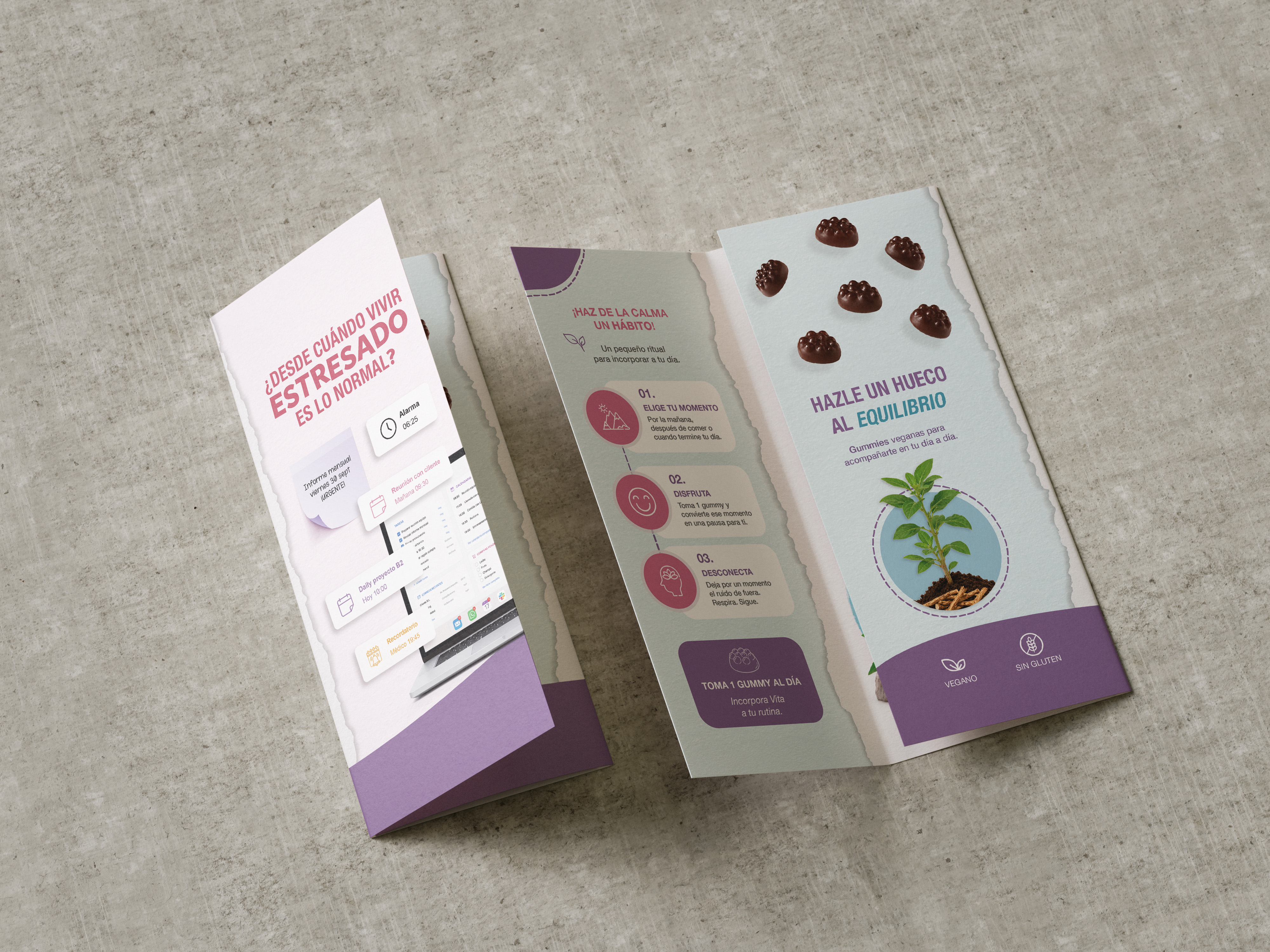 Mockup del tríptico